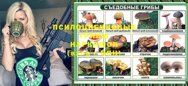 2c-b Алзамай
