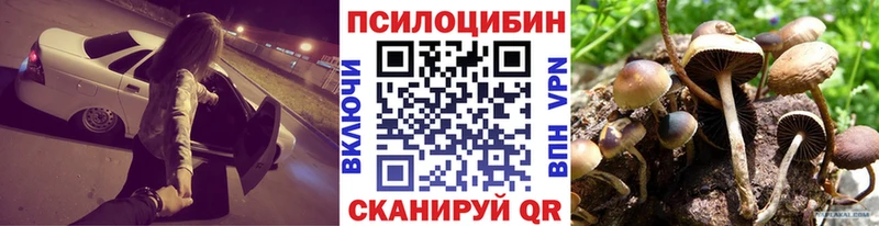 Псилоцибиновые грибы ЛСД  ссылка на мегу сайт  Ахтубинск  как найти  